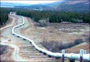 Аляска. Нефтепровод. 12 Кбайт