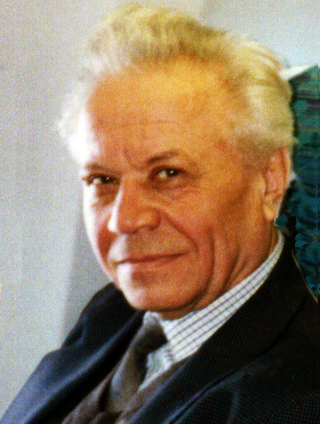 В.И. Уломов. 1993 г.